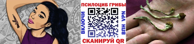 Купить  Мантурово  Псилоцибиновые грибы Magic Shrooms 